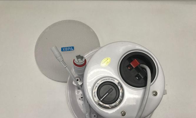 东莞吸顶音箱定制价格是多少？