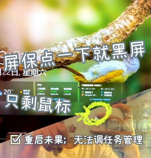 误触按键导致黑屏？如何恢复电脑正常？