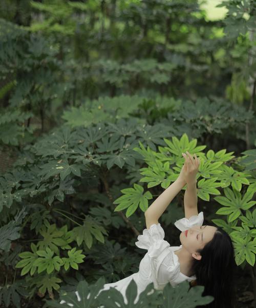 手机如何拍摄灯光效果？