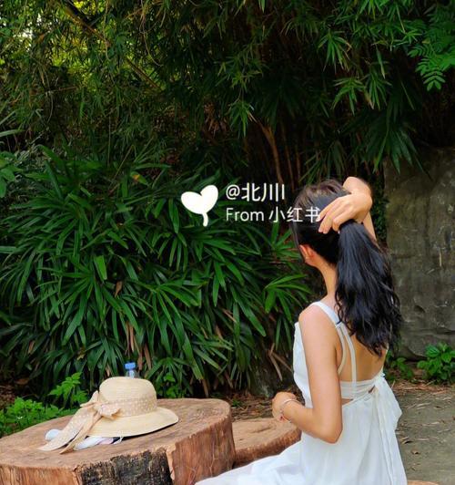 手机拍照时如何设置公园座椅？有哪些技巧？