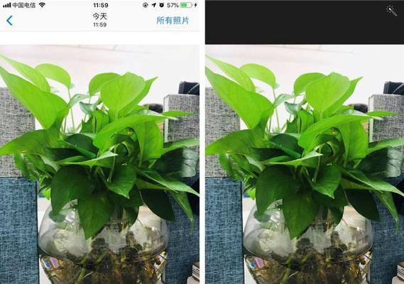手机拍照绿景怎么弄的清晰？如何优化绿色背景？
