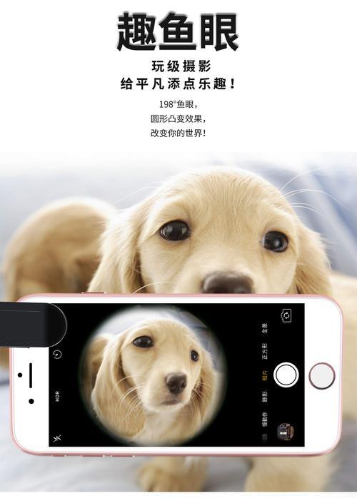 手机如何设置广角与主摄拍照？