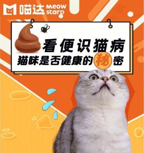 如何通过电脑配置判断猫咪的健康状况？