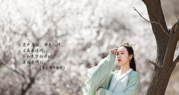 笔记本电脑设置诗词壁纸的方法是什么？