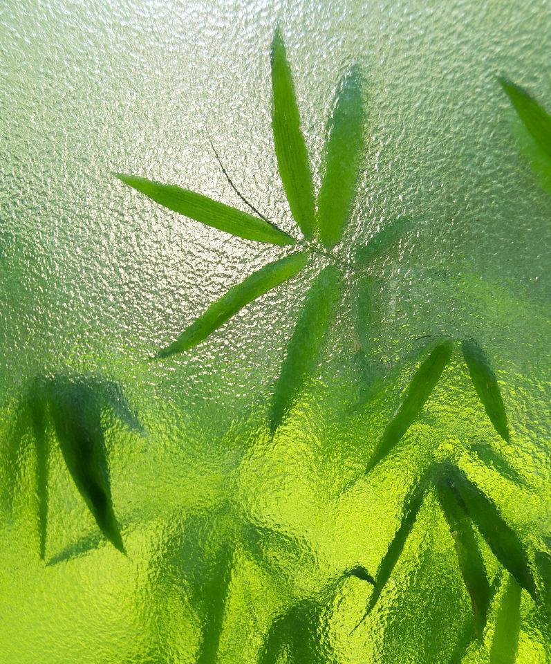 手机如何拍摄磨砂玻璃效果的照片？