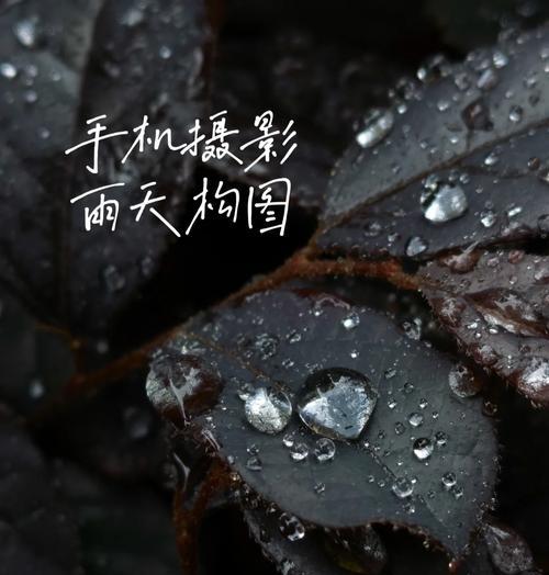 下雨天如何用苹果手机拍照？