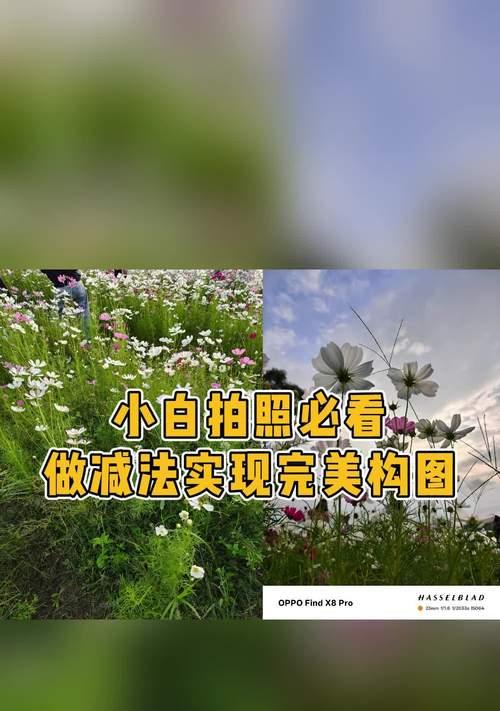 苹果手机拍照如何实现快速聚焦？有哪些方法？