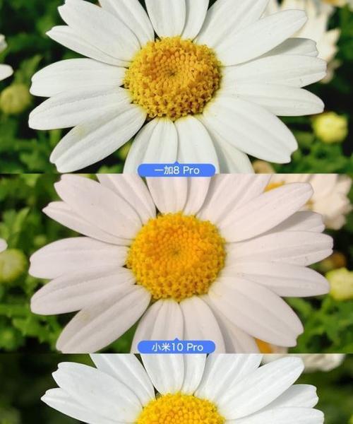 苹果手机拍照如何实现快速聚焦？有哪些方法？