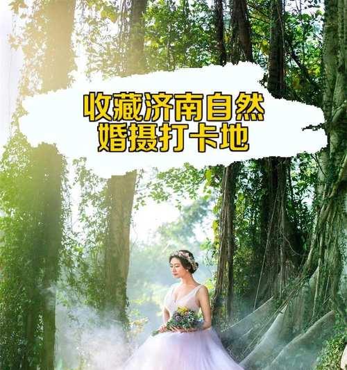 方圆摄影相机手机拍照操作指南是什么？