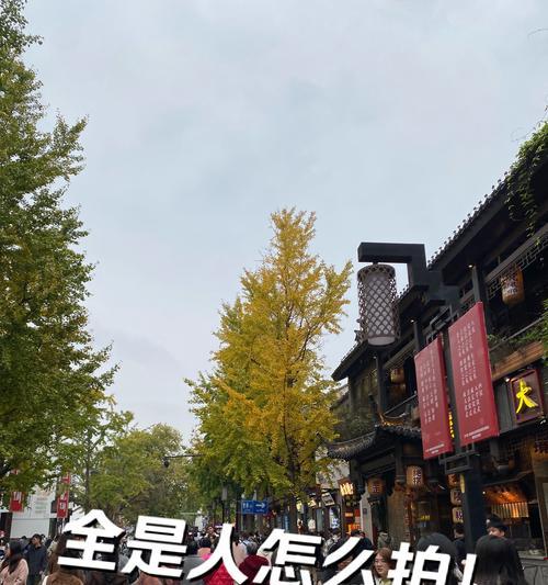 手机拍照技巧有哪些？如何拍出好照片？