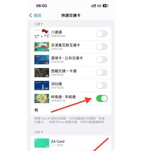 苹果手机FNC录入方法是什么？如何正确操作？