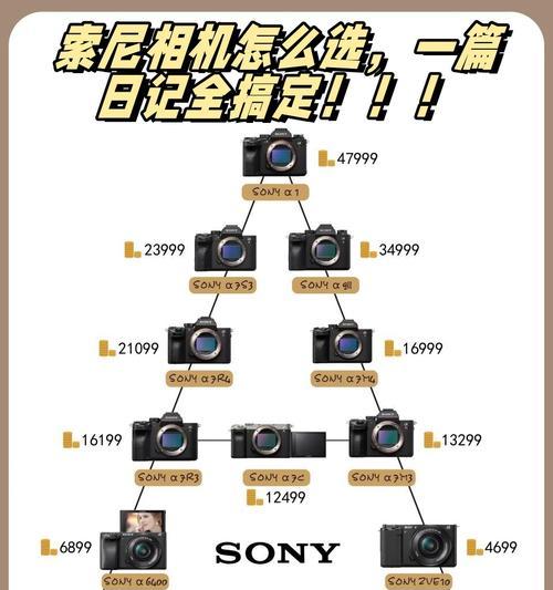 索尼相机缩放功能如何调整？
