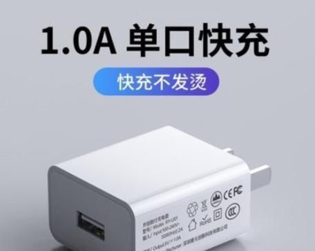 苹果正牌充电器插头的正确名称是什么？