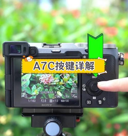 索尼app控制相机卡怎么用？使用过程中有哪些技巧？