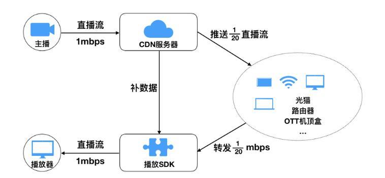 8口路由器直播连接步骤是什么？连接后如何优化？