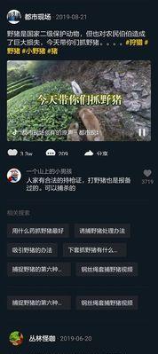 苹果手机如何处理侵权视频下架问题？