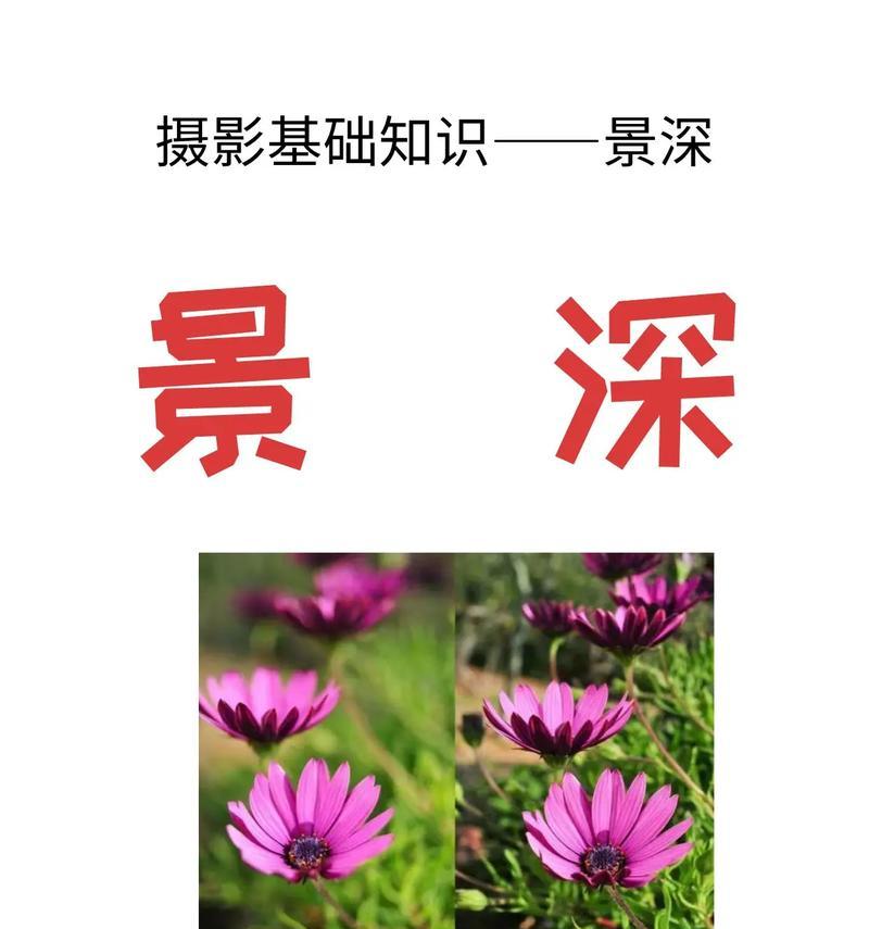 手机前摄像头景深调整方法是什么？