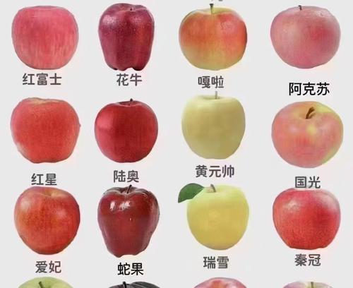 苹果产品如何区分不同代数？