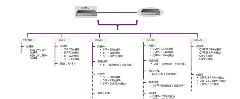 电脑送模组的服务器是什么？如何选择和使用？