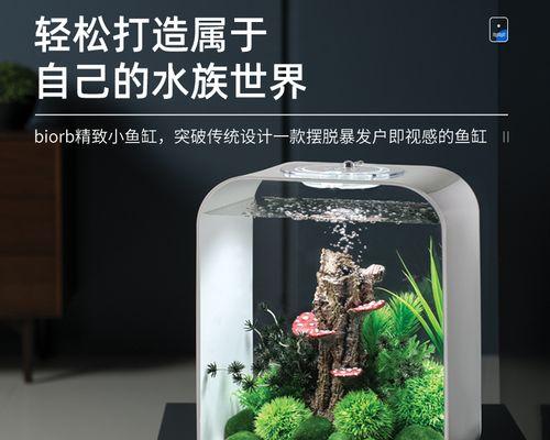 鱼缸家用小型充电器使用方法是什么？充电器对鱼缸生态有何影响？