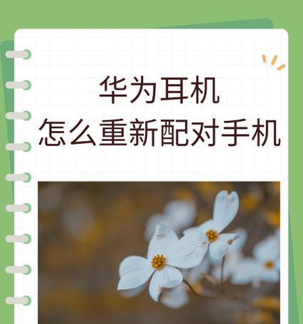 苹果手机配对猛犸后无法连接怎么办？