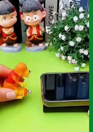 活动狗充电器使用方法是什么？如何正确充电？