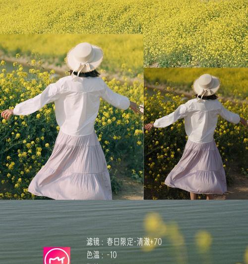 索尼相机在油菜花田拍照技巧是什么？