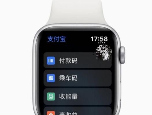智能手表设置付款码金额步骤是什么？设置中常见问题有哪些？