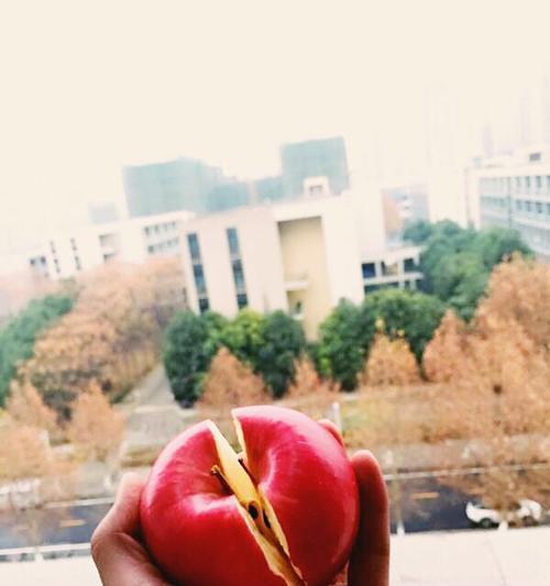 徒手掰苹果手机的原因是什么？掰后有什么后果？