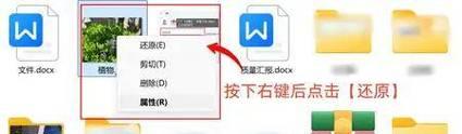 文件怎么找回苹果电脑里的文件？数据恢复的步骤和技巧是什么？