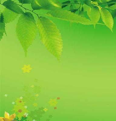 苹果手机壳煤球绿色代表什么？如何选择？