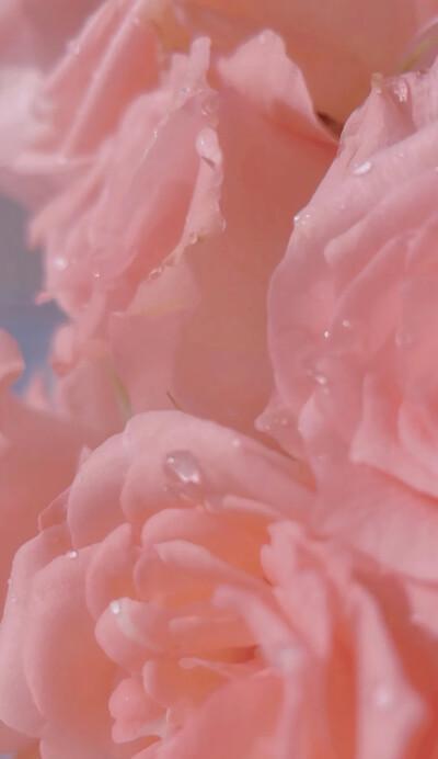 粉色苹果手机型号及特点是什么？