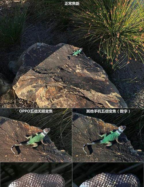 苹果手机5倍镜头能拍多远？如何使用？